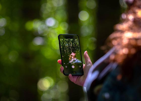 如何进行市场调查：你真正需要知道的