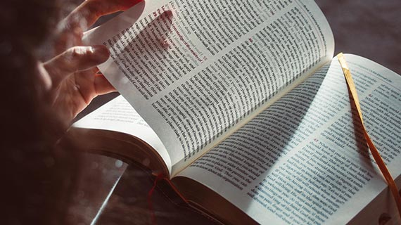 聚焦“适应社会需要” 走好建设一流应用型大学新路