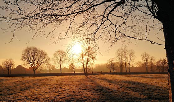弗拉门戈舞、斗牛表演，马德里不可思议的体验不止这些