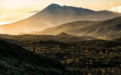 微观和宏观影响者:如何工作 微观和宏观影响者:如何工作