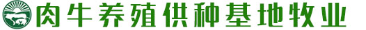 肉牛养殖供应基地网站模板